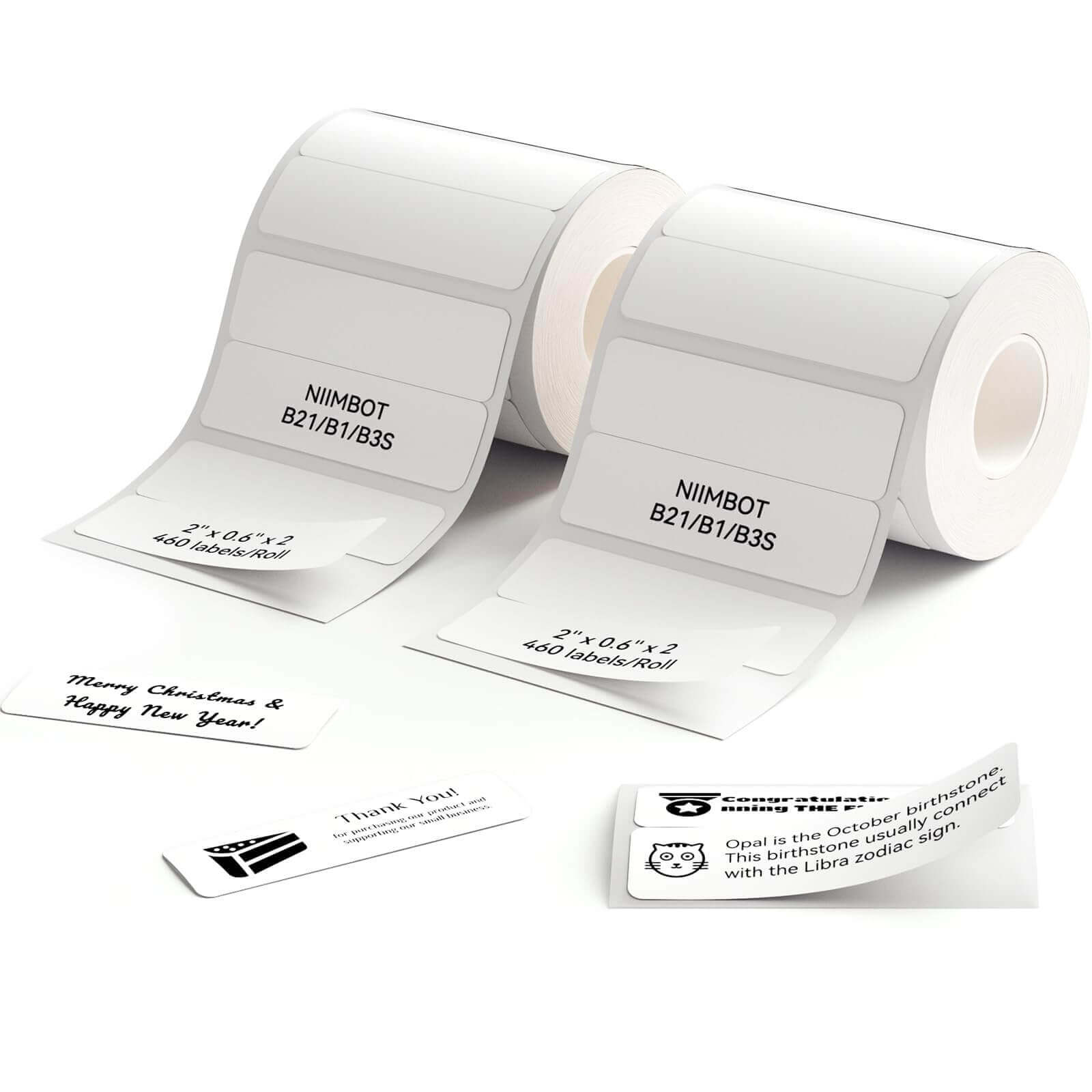 Set de rubans d'étiquettes NIIMBOT pour B21, B1, B3S, K3, K2