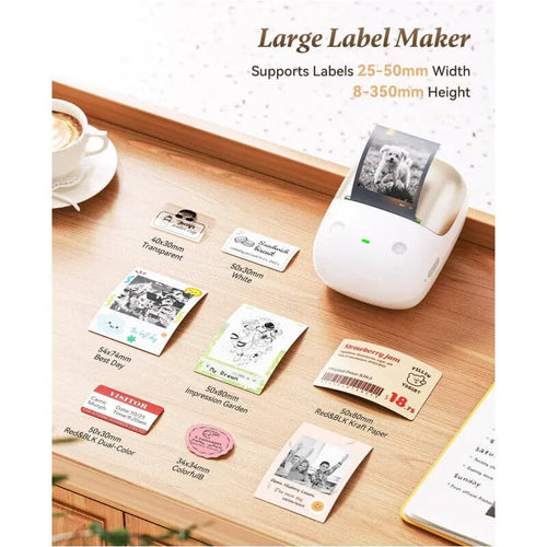 NIIMBOT B2 Pro Imprimante d'étiquettes